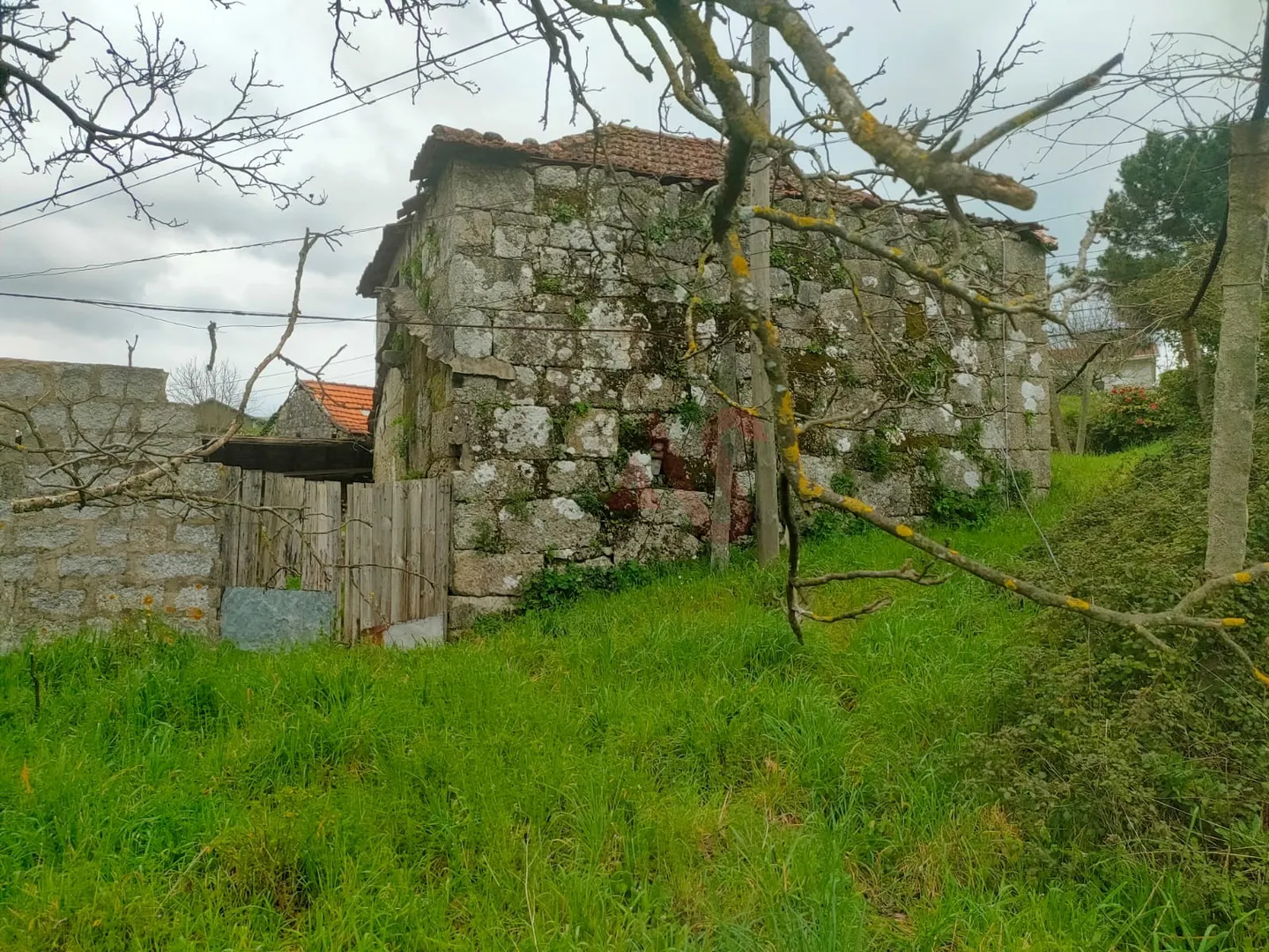 Quinta T2 - Nevogilde, Lousada, Porto - Miniatura: 5/9