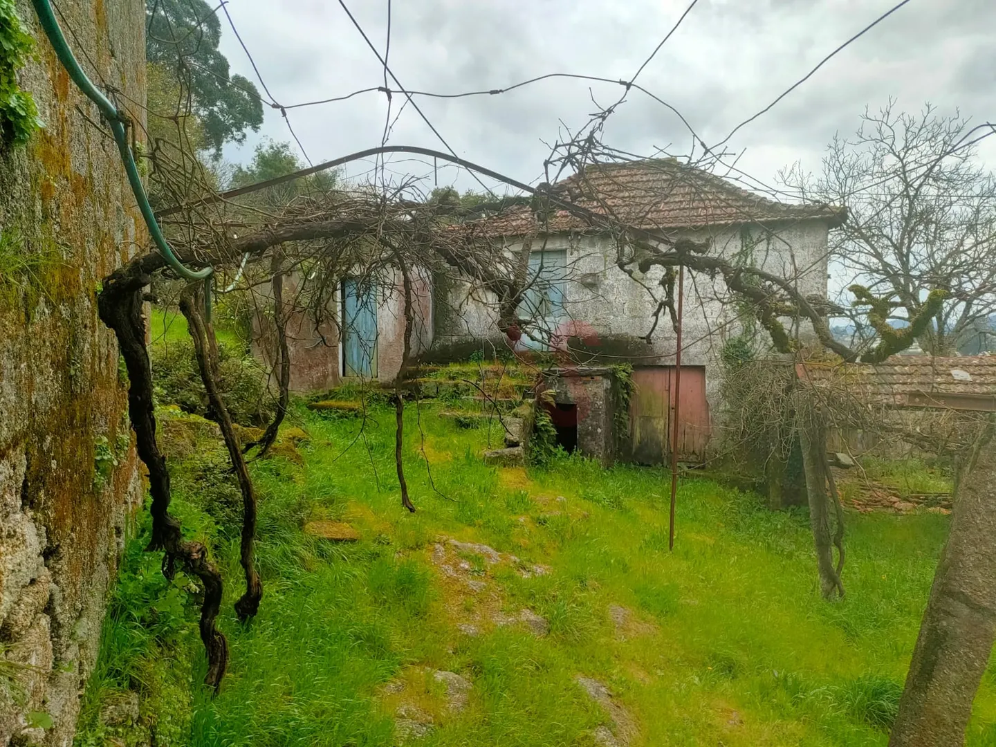Quinta T2 - Nevogilde, Lousada, Porto - Miniatura: 8/9