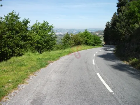 Terreno Rstico T0 - Soalhes, Marco de Canaveses, Porto - Miniatura: 5/9