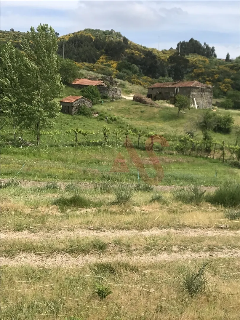 Quinta T2 - Soalhes, Marco de Canaveses, Porto - Miniatura: 3/9