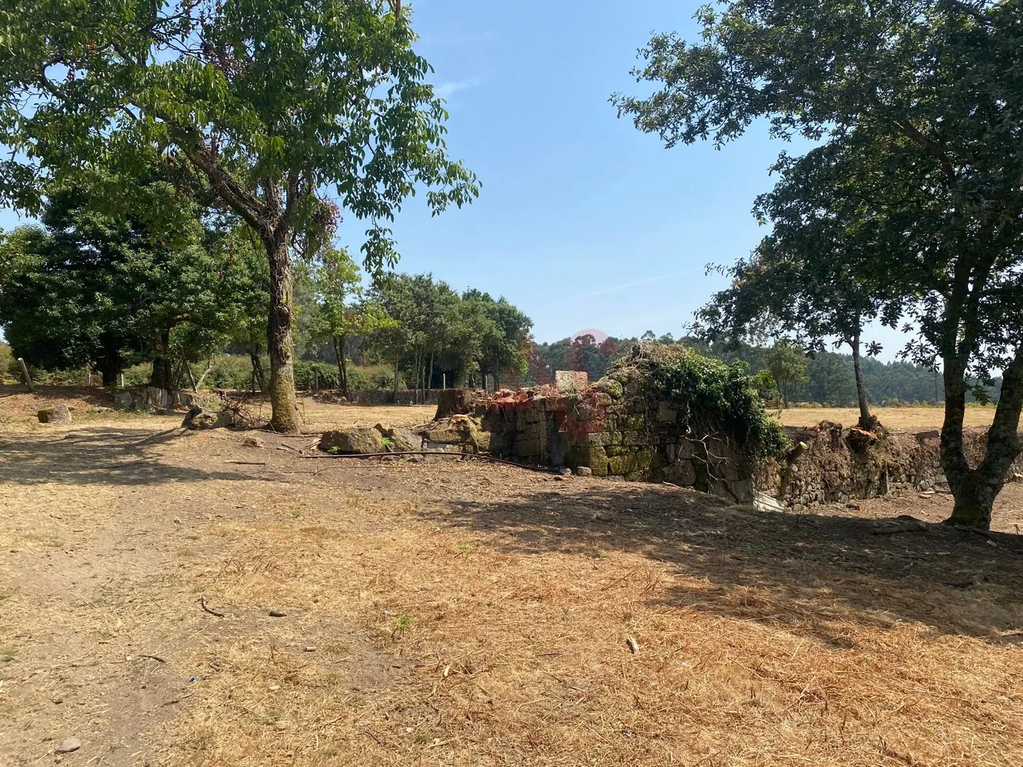 Quinta > T6 - Raimonda, Paos de Ferreira, Porto - Miniatura: 3/9