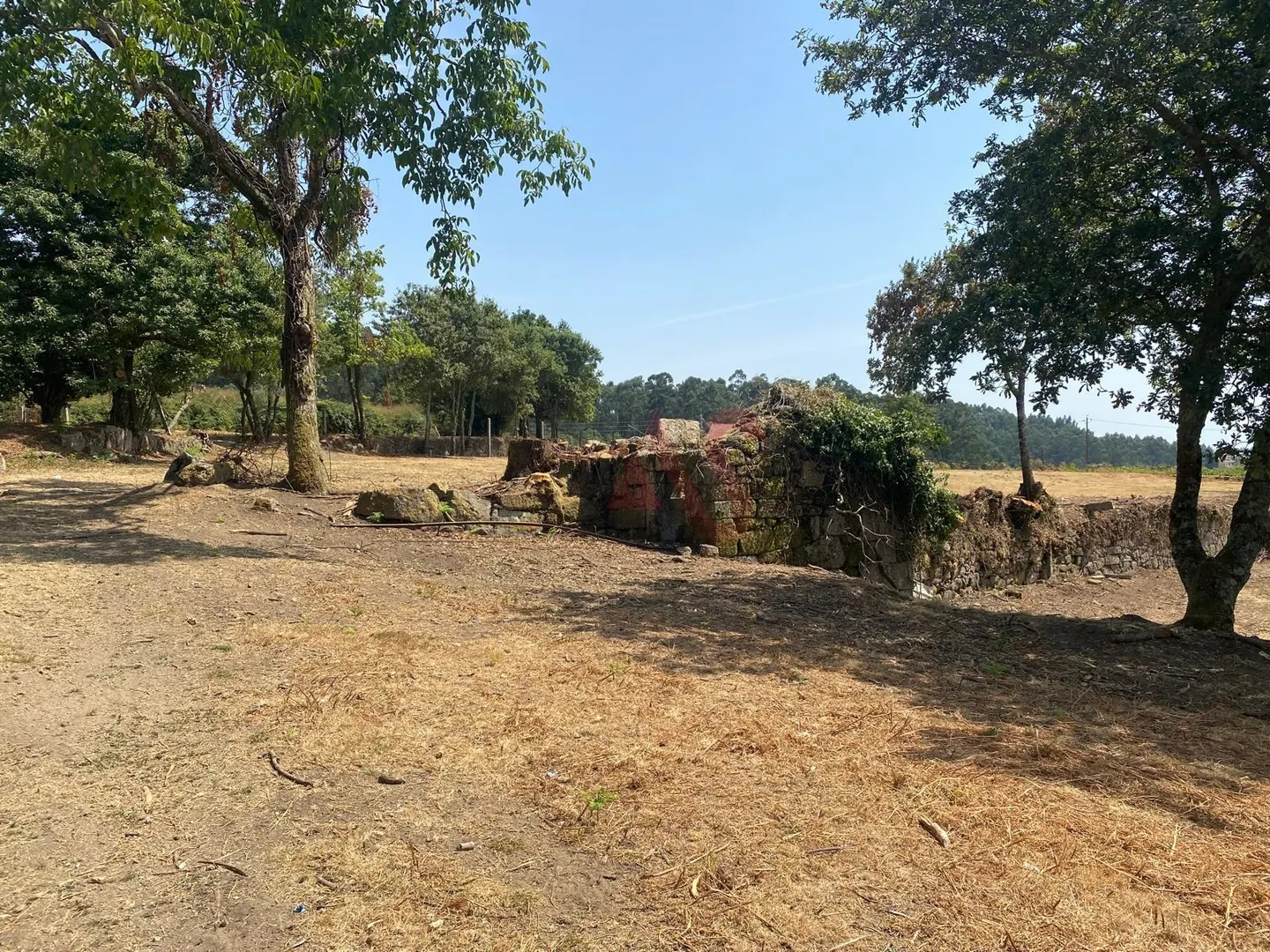 Quinta > T6 - Raimonda, Paos de Ferreira, Porto - Miniatura: 9/9