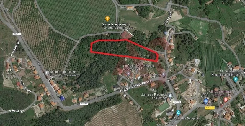 Terreno Rstico T0 - Gesta, Baio, Porto