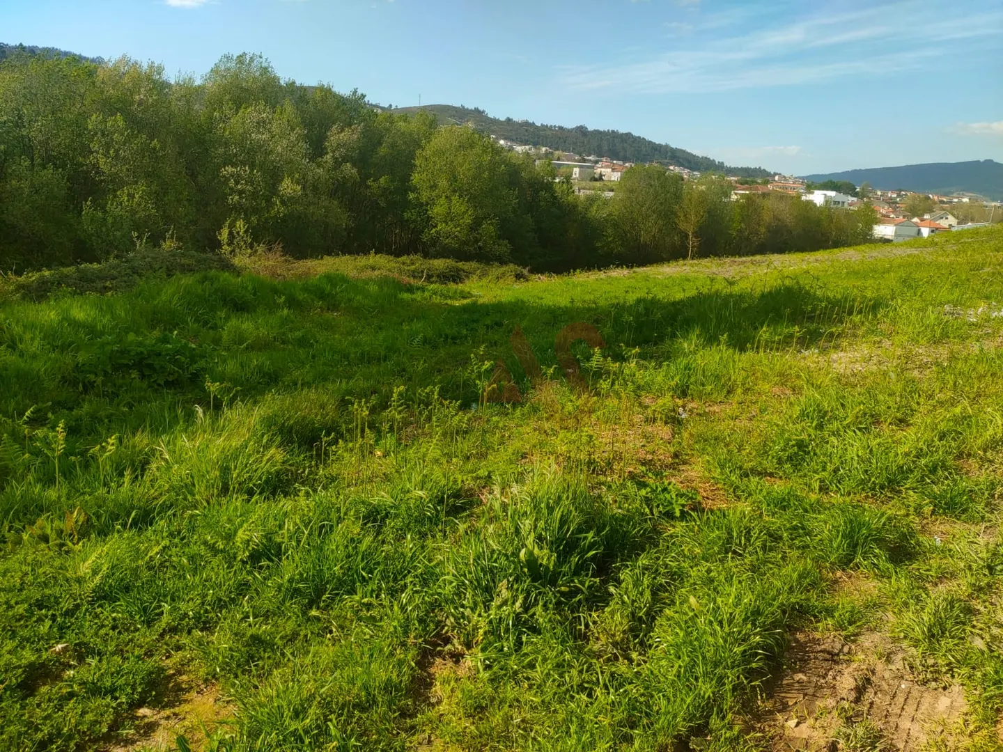 Terreno Rstico T0 - Nevogilde, Lousada, Porto - Miniatura: 1/9