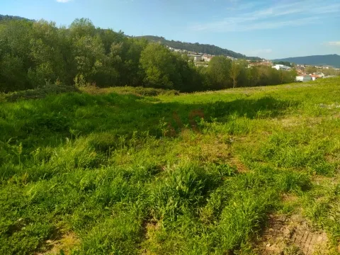 Terreno Rstico T0 - Nevogilde, Lousada, Porto - Miniatura: 8/9