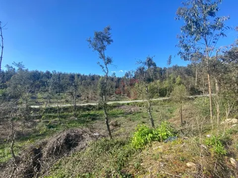 Terreno Urbano T0 - Sousela, Lousada, Porto - Miniatura: 8/9