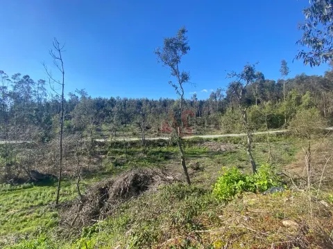 Terreno Urbano T0 - Sousela, Lousada, Porto - Miniatura: 9/9