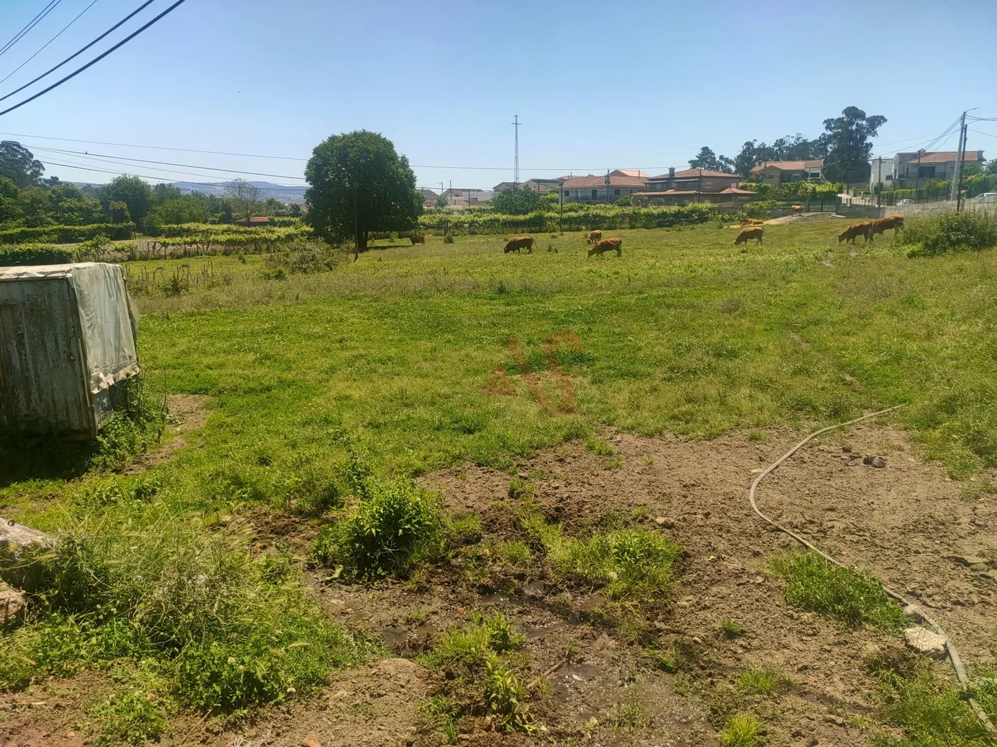Quinta T4 - Nevogilde, Lousada, Porto - Miniatura: 2/9