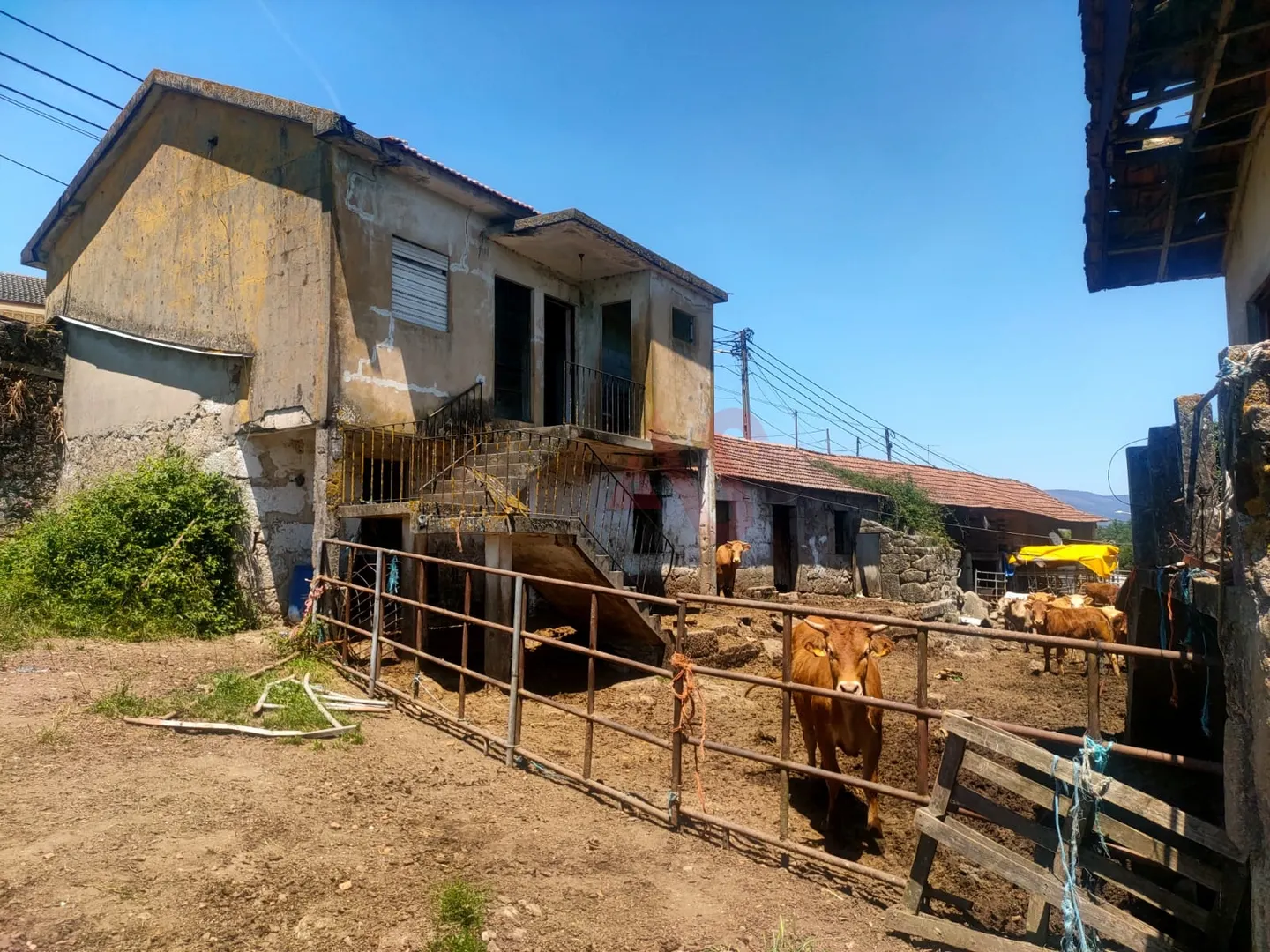 Quinta T4 - Nevogilde, Lousada, Porto - Miniatura: 4/9