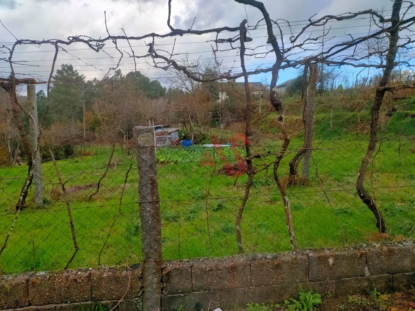 Terreno Urbano T0 - Regadas, Fafe, Braga - Miniatura: 3/9