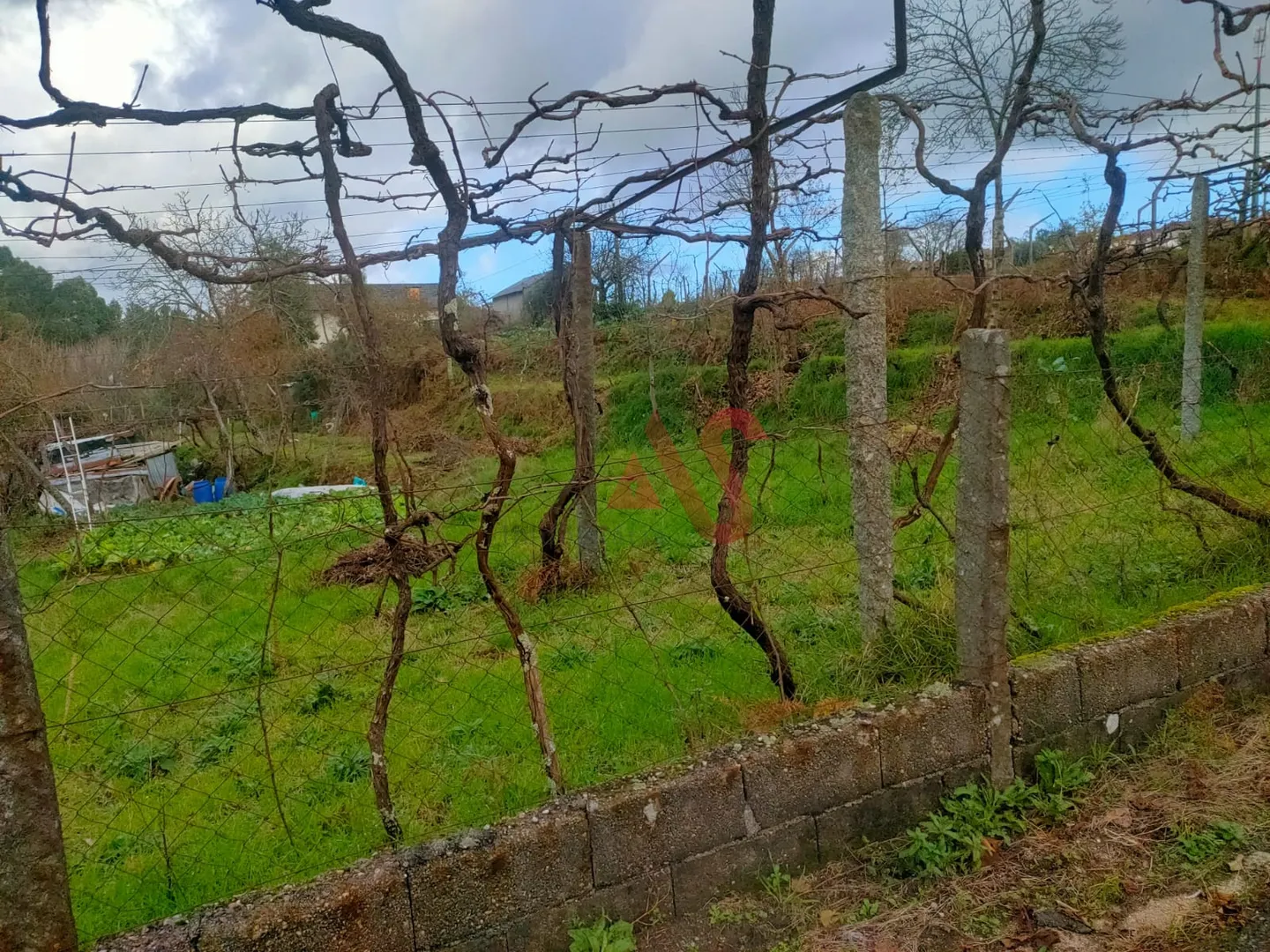 Terreno Urbano T0 - Regadas, Fafe, Braga - Miniatura: 4/9