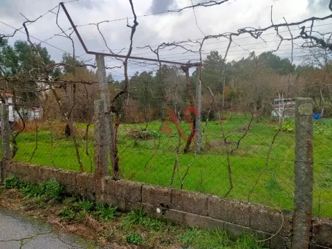 Terreno Urbano T0 - Regadas, Fafe, Braga - Miniatura: 7/9