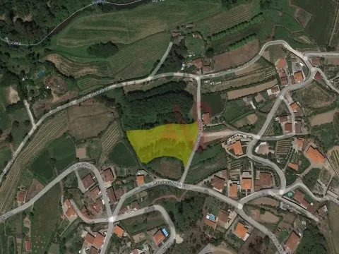 Terreno Rstico T0 - Vila Fria, Felgueiras, Porto - Miniatura: 2/9