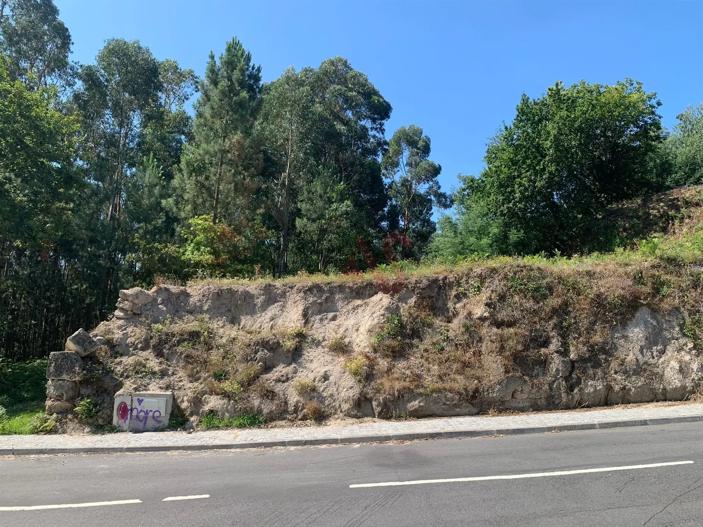 Terreno Urbano T0 - Santa Eullia, Vizela, Braga - Miniatura: 5/9