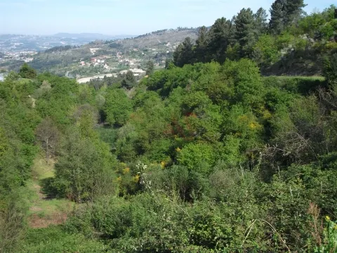 Terreno Rstico T0 - Soalhes, Marco de Canaveses, Porto - Miniatura: 5/9