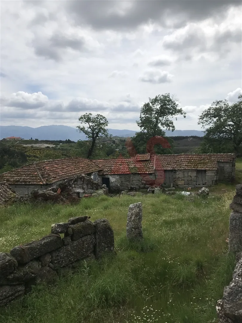 Quinta T3 - Soalhes, Marco de Canaveses, Porto - Miniatura: 2/9