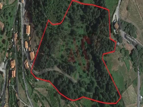 Terreno Rstico T0 - Gesta, Baio, Porto - Miniatura: 2/9