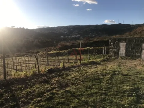 Terreno Rstico T0 - Gesta, Baio, Porto - Miniatura: 6/9