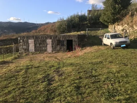 Terreno Rstico T0 - Gesta, Baio, Porto - Miniatura: 7/9