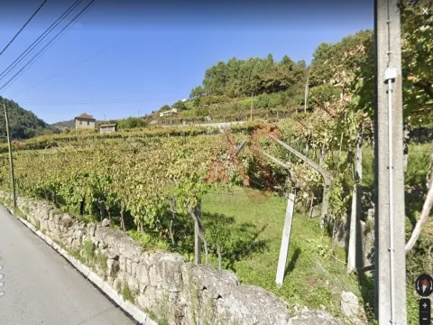 Terreno Rstico T0 - Gesta, Baio, Porto - Miniatura: 8/9
