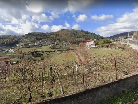 Terreno Rstico T0 - Gesta, Baio, Porto - Miniatura: 9/9