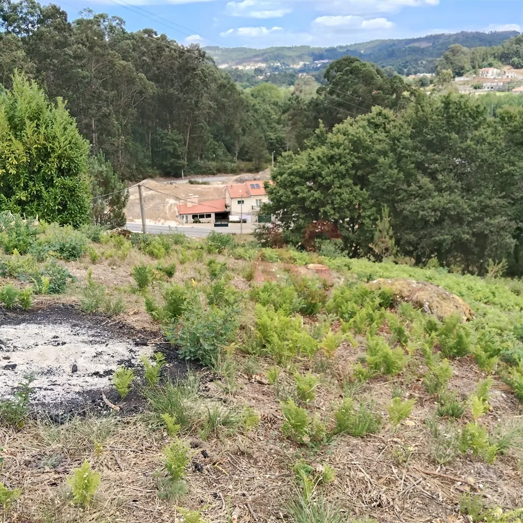 Terreno Urbano T0 - SILVARES, Fafe, Braga - Miniatura: 5/9