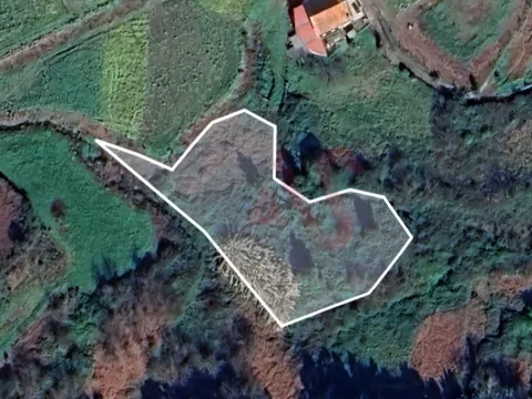 Terreno Rstico T0 - Nevogilde, Lousada, Porto - Miniatura: 8/9
