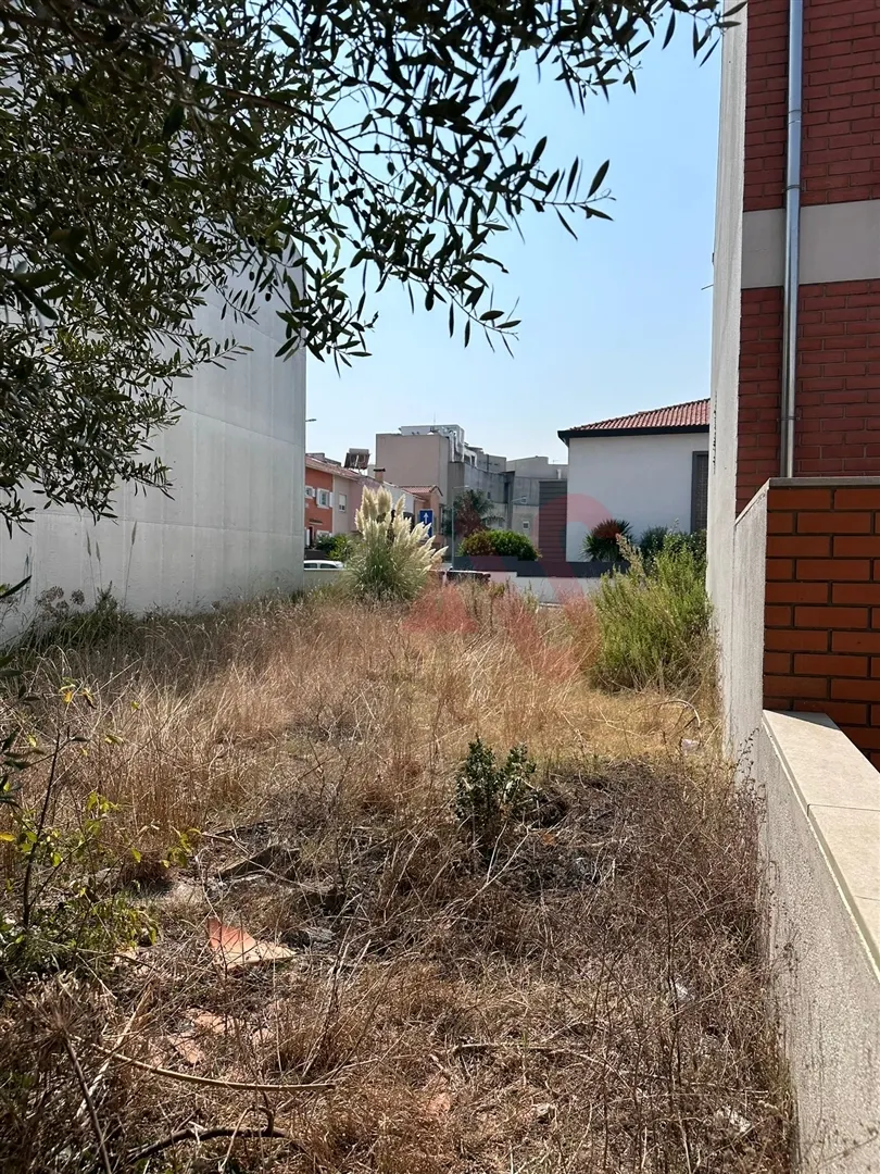 Terreno Urbano T0 - Glória, Aveiro, Aveiro - Miniatura: 5/9