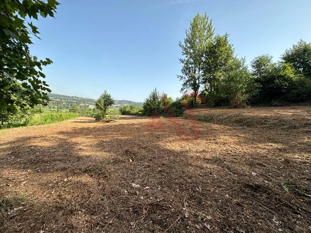 Terreno Rstico T0 - Vila Fria, Felgueiras, Porto - Miniatura: 2/9