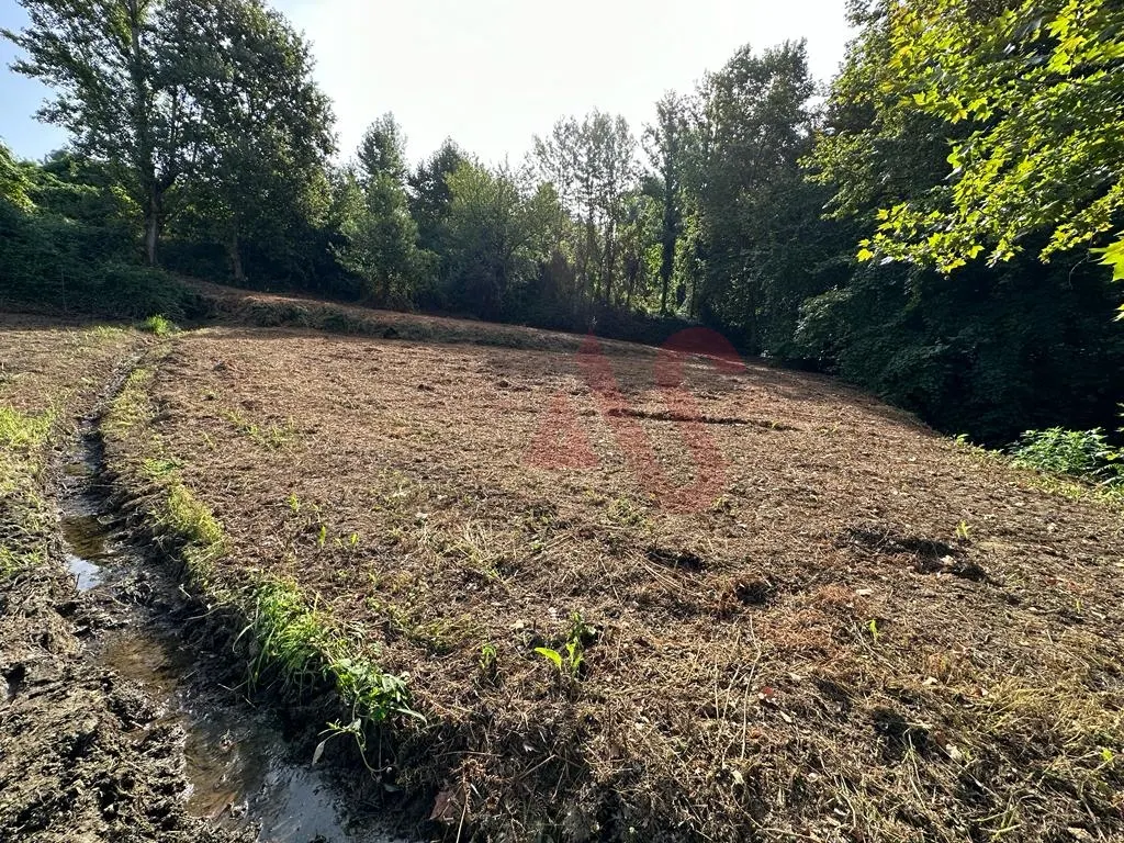 Terreno Rstico T0 - Vila Fria, Felgueiras, Porto - Miniatura: 4/9