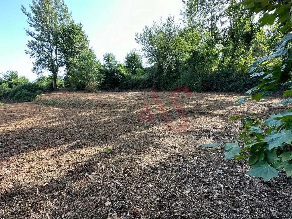 Terreno Rstico T0 - Vila Fria, Felgueiras, Porto - Miniatura: 6/9