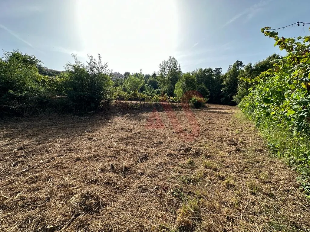 Terreno Rstico T0 - Vila Fria, Felgueiras, Porto - Miniatura: 7/9
