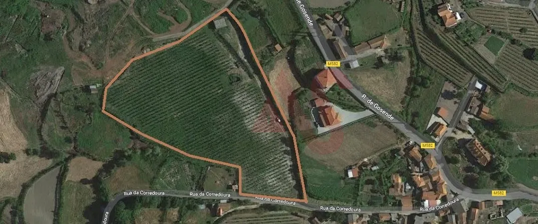 Terreno Rstico T0 - Gove, Baio, Porto - Miniatura: 1/9