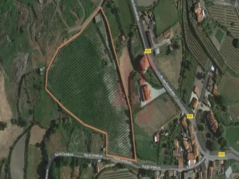 Terreno Rstico T0 - Gove, Baio, Porto - Miniatura: 5/9
