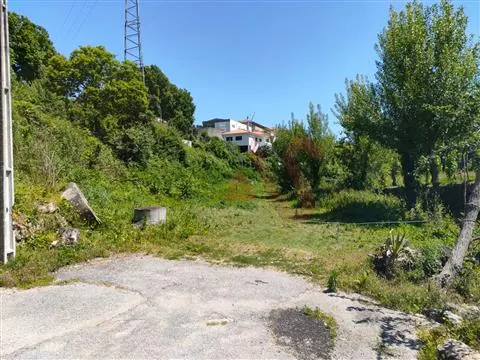 Quinta T3 - Nespereira, Guimares, Braga - Miniatura: 7/9