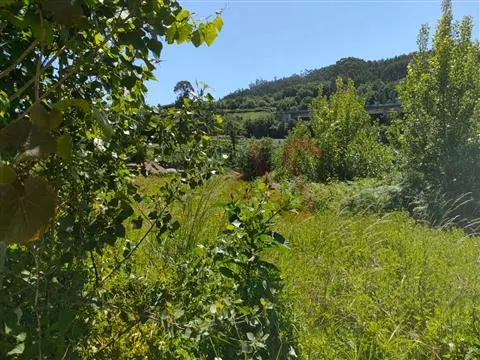 Quinta T3 - Nespereira, Guimares, Braga - Miniatura: 8/9