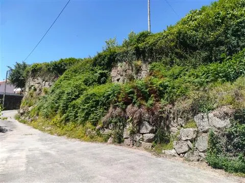 Quinta T3 - Nespereira, Guimares, Braga - Miniatura: 9/9