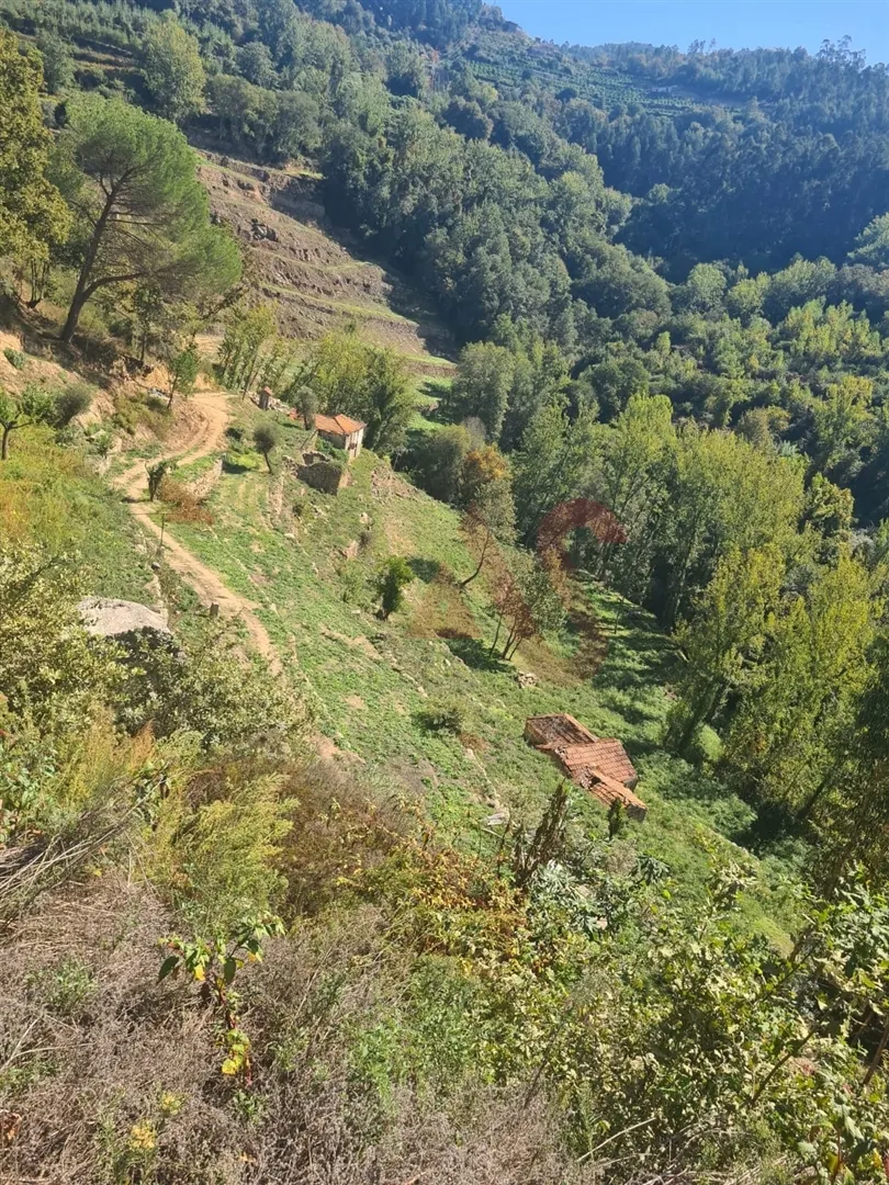 Quinta T0 - Souselo, Cinfes, Viseu