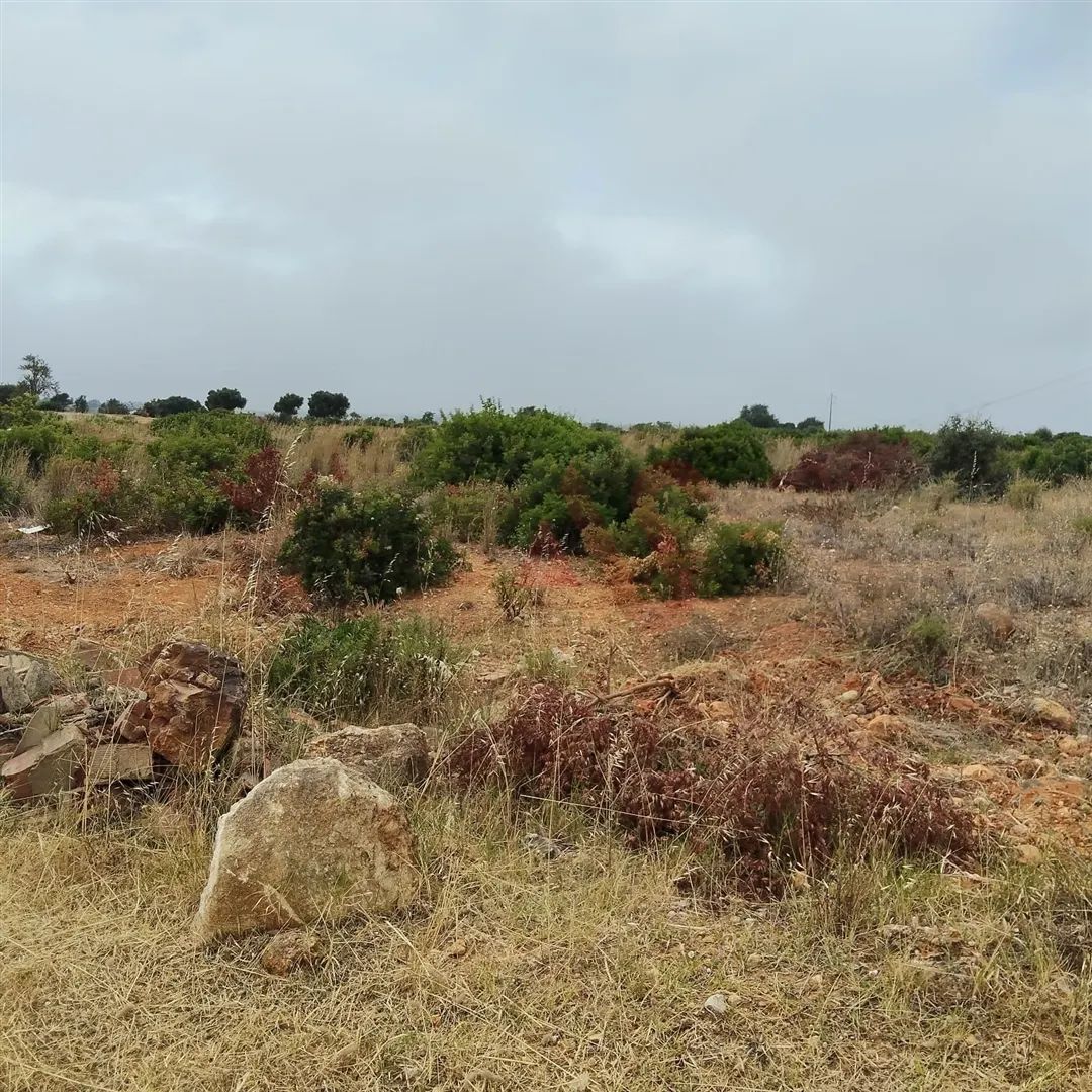 Terreno Rstico T0 - Guia-ALB, Albufeira, Faro (Algarve) - Miniatura: 1/9