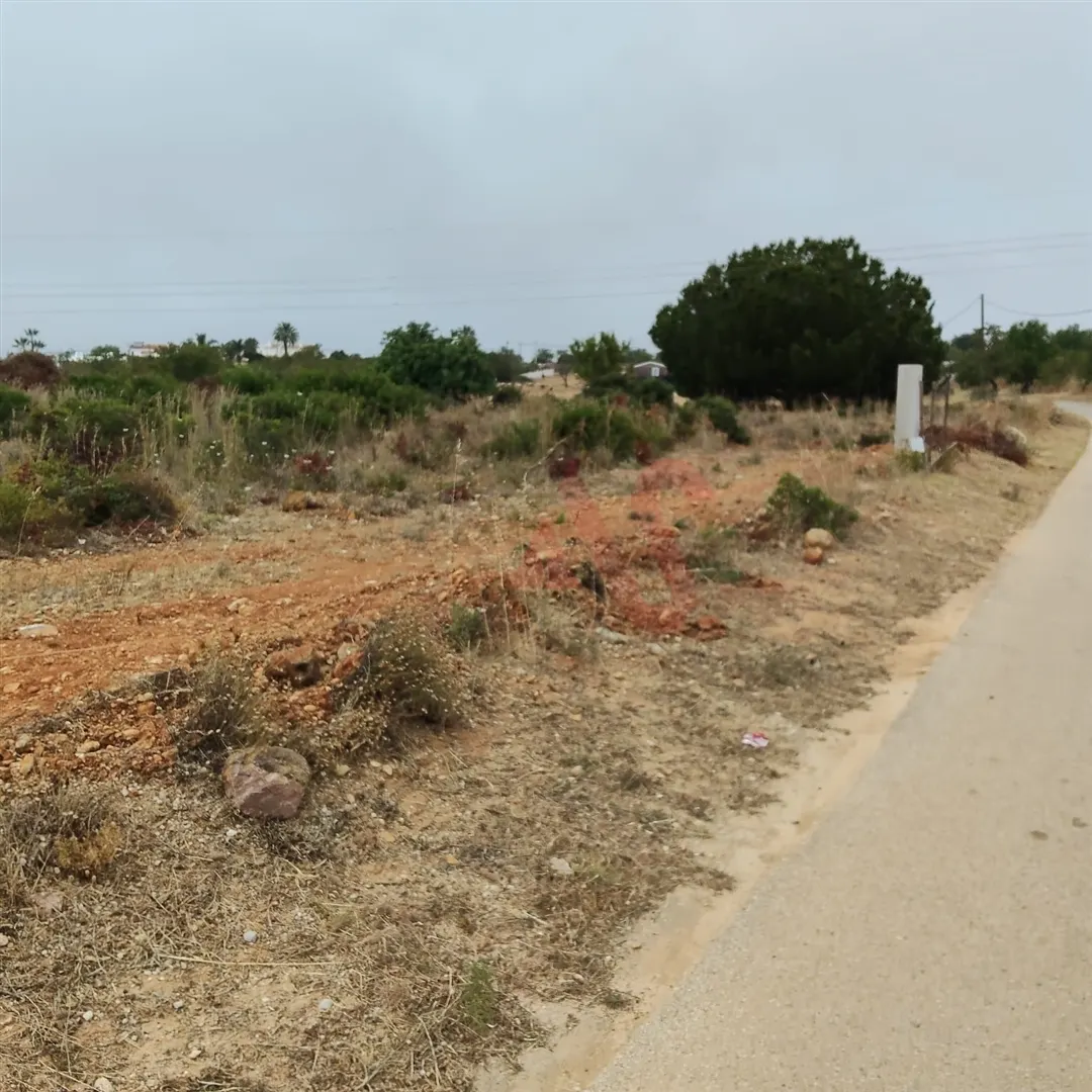 Terreno Rstico T0 - Guia-ALB, Albufeira, Faro (Algarve) - Miniatura: 3/9