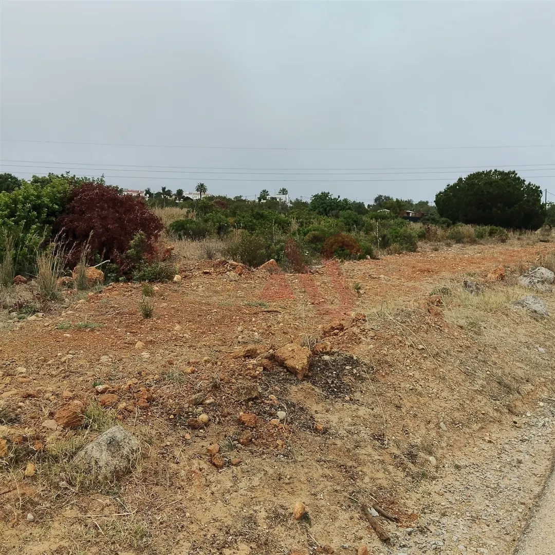 Terreno Rstico T0 - Guia-ALB, Albufeira, Faro (Algarve) - Miniatura: 6/9