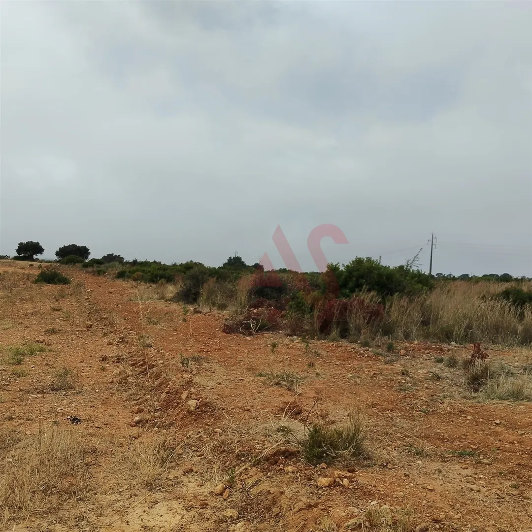 Terreno Rstico T0 - Guia-ALB, Albufeira, Faro (Algarve) - Miniatura: 7/9