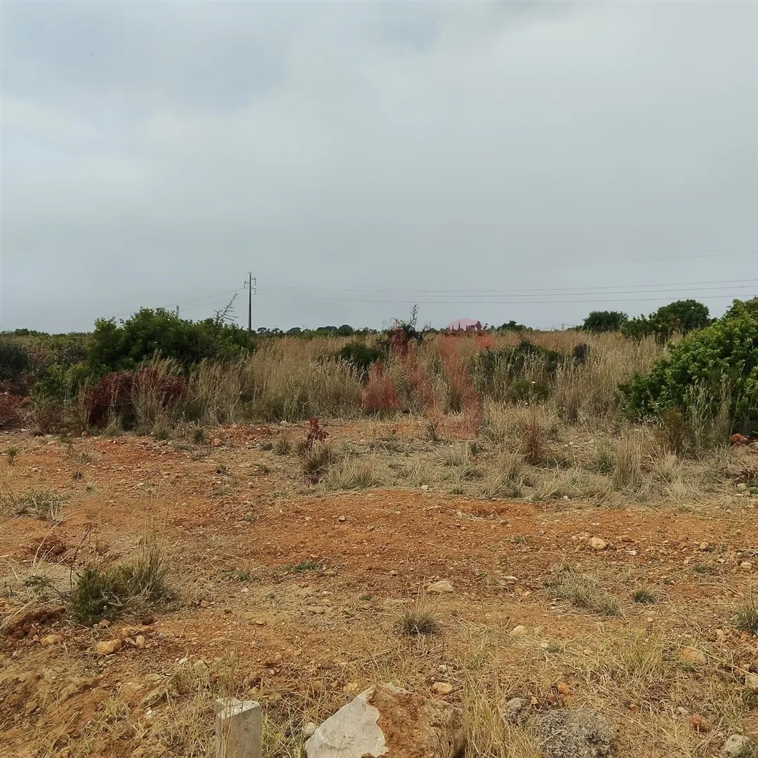 Terreno Rstico T0 - Guia-ALB, Albufeira, Faro (Algarve) - Miniatura: 8/9