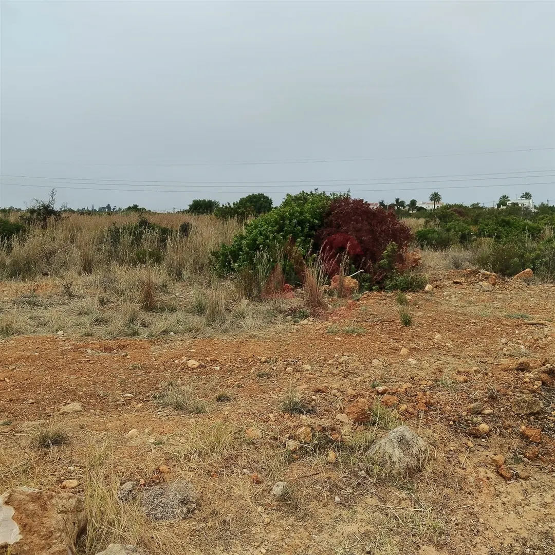 Terreno Rstico T0 - Guia-ALB, Albufeira, Faro (Algarve) - Miniatura: 9/9
