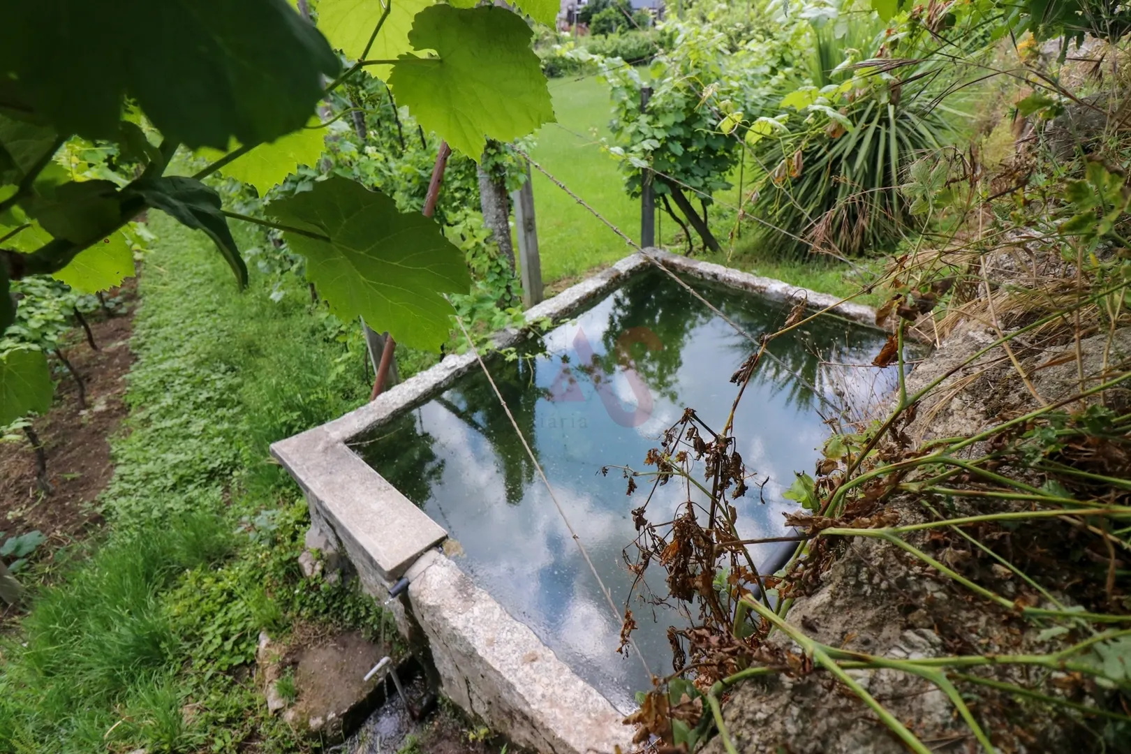 Quinta T0 - Pencelo, Guimares, Braga - Miniatura: 2/9