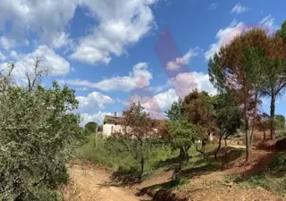 Terreno Rstico T0 - So Bartolomeu de Messines, Silves, Faro (Algarve) - Miniatura: 1/9