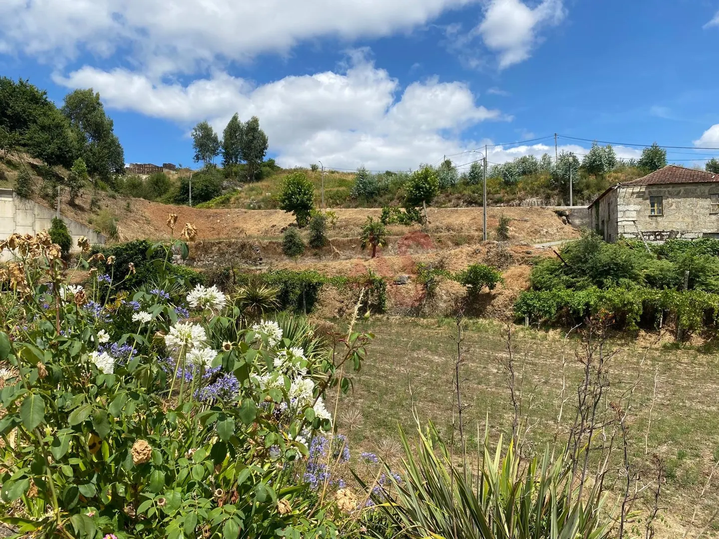 Quinta T1 - Silvares, Lousada, Porto - Miniatura: 1/9