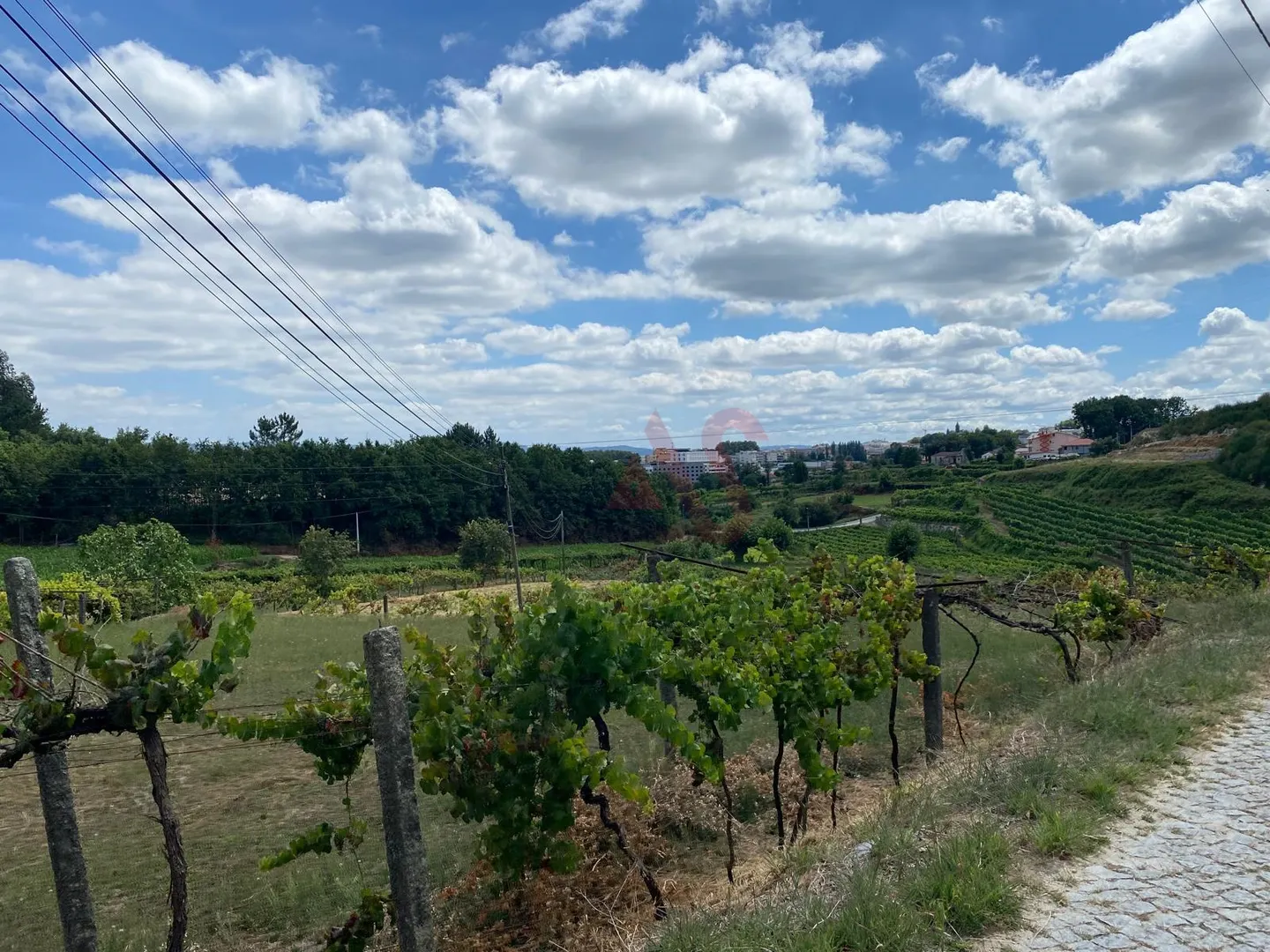 Quinta T1 - Silvares, Lousada, Porto - Miniatura: 2/9