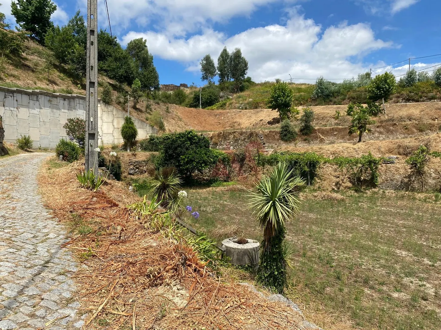 Quinta T1 - Silvares, Lousada, Porto - Miniatura: 3/9