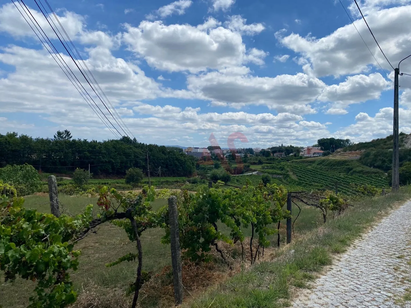 Quinta T1 - Silvares, Lousada, Porto - Miniatura: 4/9